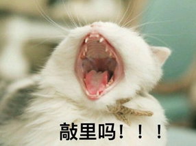 敲里lailai是什么意思？敲里lailai表情包無(wú)水印