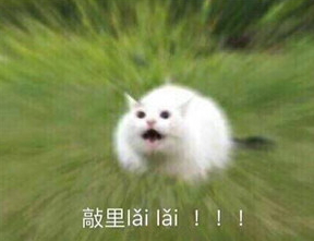 敲里lailai是什么意思？敲里lailai表情包無(wú)水印