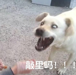 敲里lailai是什么意思？敲里lailai表情包無(wú)水印