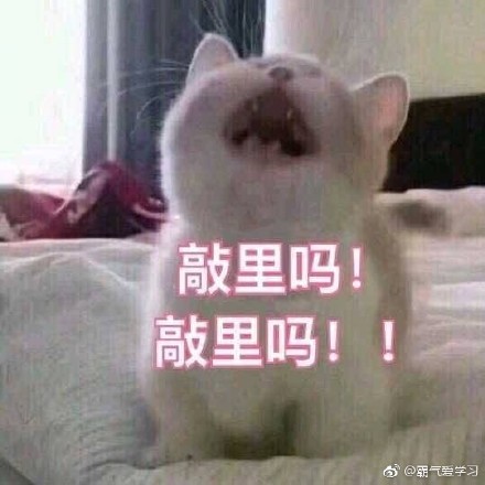 敲里lailai是什么意思？敲里lailai表情包無(wú)水印