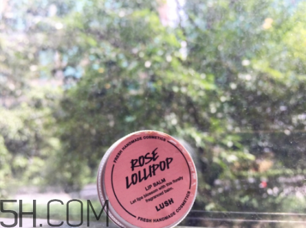 lush潤(rùn)唇膏好用嗎？lush潤(rùn)唇膏多少錢？