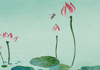 佰草世家效果真的假的？佰草世家怎么樣？