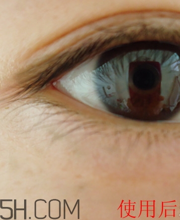 透真眼霜適合什么年齡段？透真眼霜多少錢