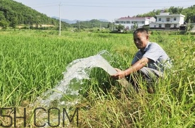 女生說抽水什么意思？女生發(fā)消息想抽水什么意思？