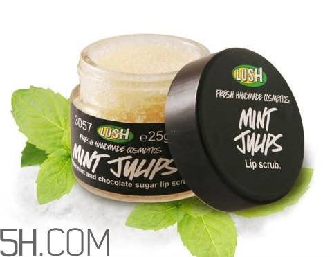 lush唇部磨砂膏好用嗎？lush唇部磨砂膏多少錢？