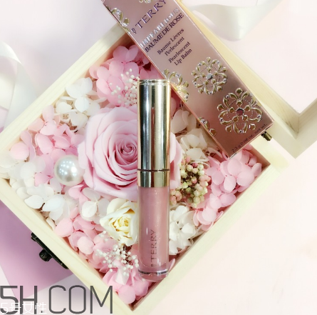 byterry玫瑰唇蜜好用嗎？byterry玫瑰唇蜜多少錢？