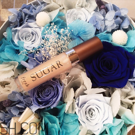 fresh唇蜜好用嗎？fresh唇蜜多少錢？