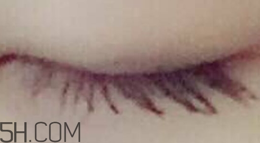 巧迪尚惠睫毛膏多少錢？巧迪尚惠睫毛膏怎么用