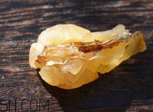 雪蛤能空腹吃嗎？哪里可以買到純正的長白山雪蛤