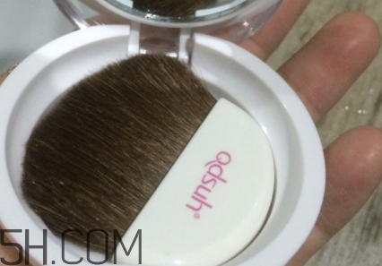 巧迪尚惠腮紅多少錢？巧迪尚惠腮紅專柜價格