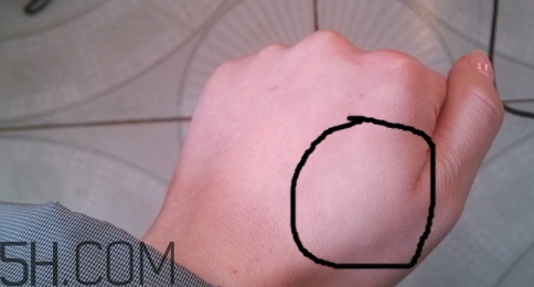 巧迪尚惠粉餅好用嗎？巧迪尚惠粉餅多少錢？