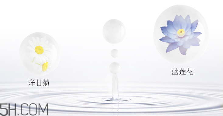 露得清深層凈化滋養(yǎng)卸妝水 露得清深層凈化滋養(yǎng)卸妝水