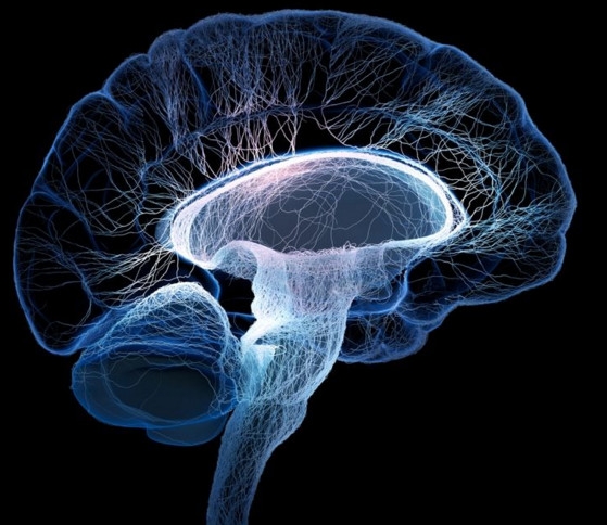 腦死亡和人死亡有什么區(qū)別？腦死亡人還有救嗎