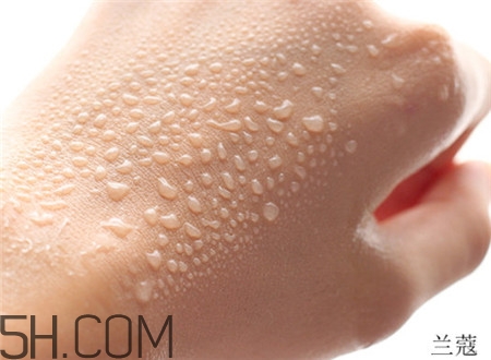 雪花秀蘭蔻hera氣墊哪個(gè)好_3款氣墊評(píng)測(cè)對(duì)比 雪花秀蘭蔻hera氣墊哪個(gè)好_3款氣墊評(píng)測(cè)對(duì)比