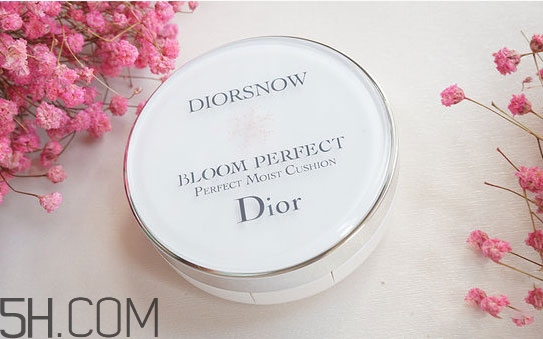 迪奧蘭蔻ysl氣墊哪個(gè)好用_評(píng)測(cè)對(duì)比 迪奧蘭蔻ysl氣墊哪個(gè)好用_評(píng)測(cè)對(duì)比