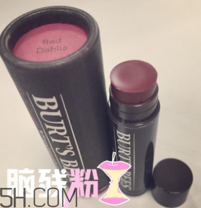 小蜜蜂有色唇膏孕婦可以用嗎？小蜜蜂有色唇膏好用嗎？