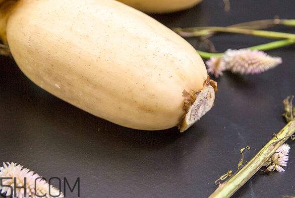 蓮藕是什么季節(jié)成熟的？蓮藕什么時候種植