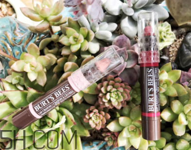 小蜜蜂唇膏筆多少錢？小蜜蜂唇膏筆很貴嗎？