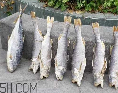 咸魚不能和什么一起吃？咸魚是什么意思