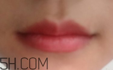 小蜜蜂口紅好用嗎？小蜜蜂口紅試色