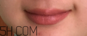 小蜜蜂口紅好用嗎？小蜜蜂口紅試色