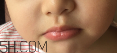 小蜜蜂口紅好用嗎？小蜜蜂口紅試色