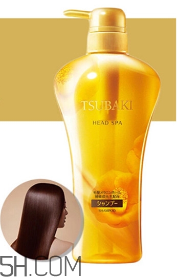 絲蓓綺洗發(fā)水哪款好用？絲蓓綺是進(jìn)口的好還是國產(chǎn)的好