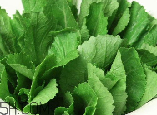 芥菜是涼性的嗎 芥菜是寒性還是溫性 芥菜是涼性的嗎 芥菜是寒性還是溫性