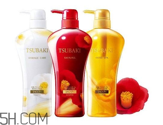 絲蓓綺和沙宣哪個好？水之密語與絲蓓綺哪個好用