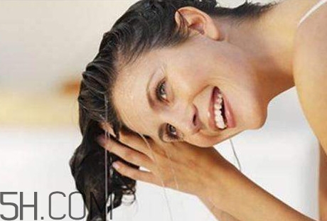 絲蓓綺和沙宣哪個好？水之密語與絲蓓綺哪個好用