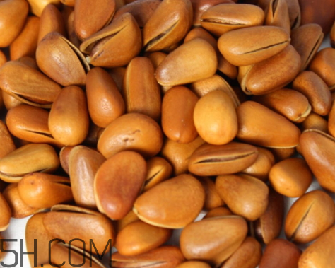 松子是熱性還是涼性 松子是熱性的嗎 松子是熱性還是涼性 松子是熱性的嗎