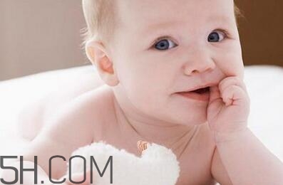 小蜜蜂潤膚露怎么樣？小蜜蜂潤膚露好用嗎？