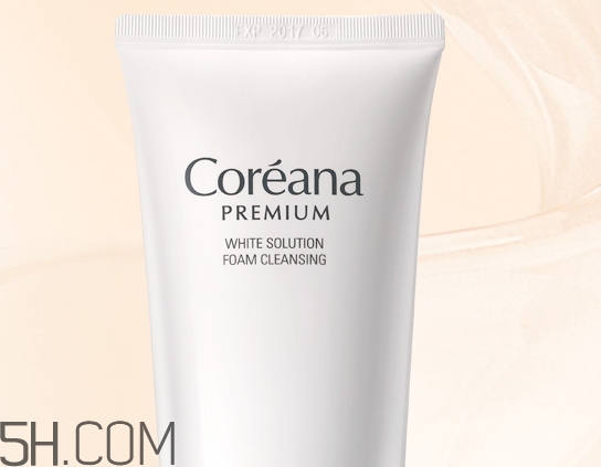 高麗雅娜洗面奶好用嗎_高麗雅娜洗面奶評(píng)測(cè) 高麗雅娜洗面奶好用嗎_高麗雅娜洗面奶評(píng)測(cè)