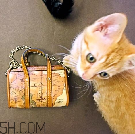 sobdeall包包什么檔次？sobdeall是輕奢品牌嗎？