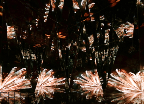 海藍之謎鎏金煥顏精華液多少錢？怎么用？