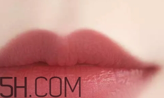 干玫瑰色口紅哪個牌子好？干玫瑰色口紅真人試色