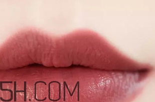 干玫瑰色口紅哪個牌子好？干玫瑰色口紅真人試色