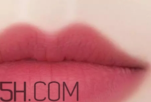 干玫瑰色口紅哪個牌子好？干玫瑰色口紅真人試色