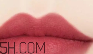 干玫瑰色口紅哪個牌子好？干玫瑰色口紅真人試色