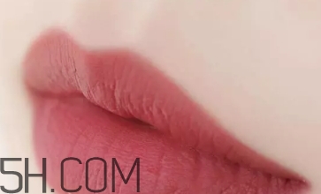 干玫瑰色口紅哪個牌子好？干玫瑰色口紅真人試色