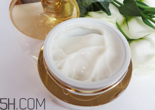 蘭蔻和雅詩蘭黛哪個好用？雅詩蘭黛萬能面霜測評