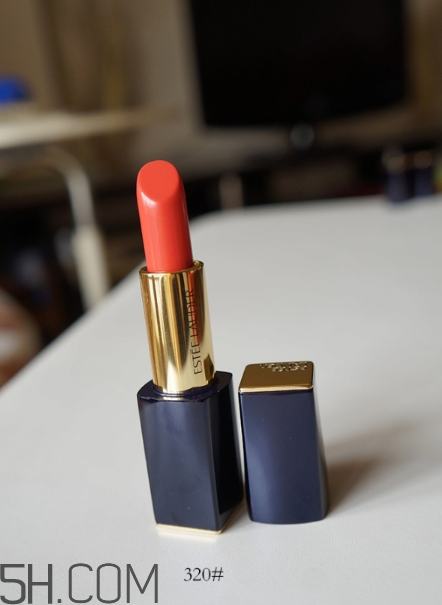 雅詩蘭黛傾慕320顏色 雅詩蘭黛傾慕320好看嗎 雅詩蘭黛傾慕320顏色 雅詩蘭黛傾慕320好看嗎