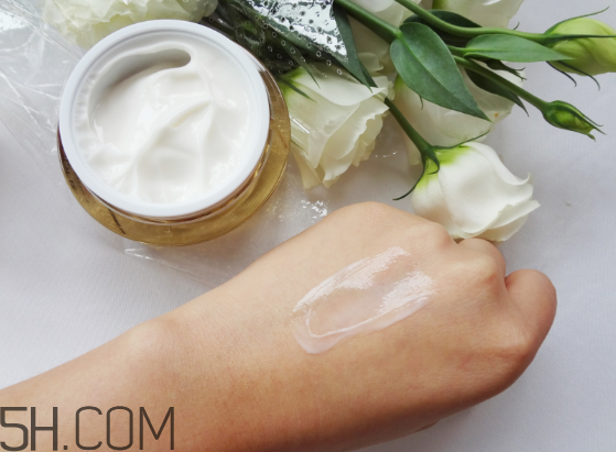 蘭蔻和雅詩蘭黛哪個好用？雅詩蘭黛萬能面霜測評