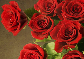 干玫瑰色口紅哪個牌子好？干玫瑰色口紅真人試色