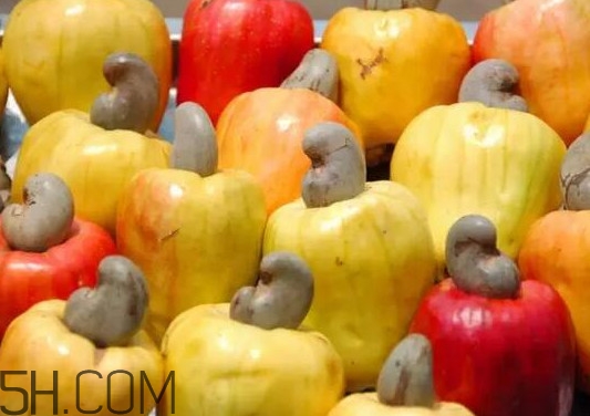 腰果梨好吃嗎？腰果梨怎么吃？