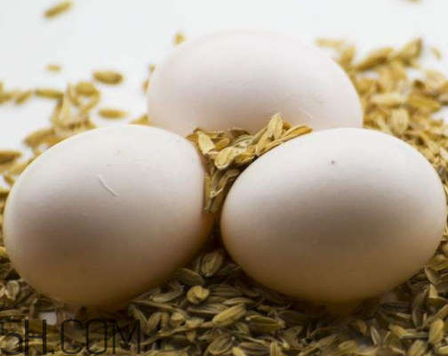 鴿子蛋不能和什么一起吃 鴿子蛋不能與什么同食 鴿子蛋不能和什么一起吃 鴿子蛋不能與什么同食