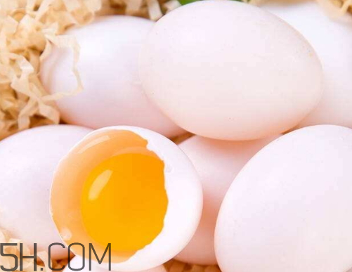 鴿子蛋不能和什么一起吃 鴿子蛋不能與什么同食 鴿子蛋不能和什么一起吃 鴿子蛋不能與什么同食