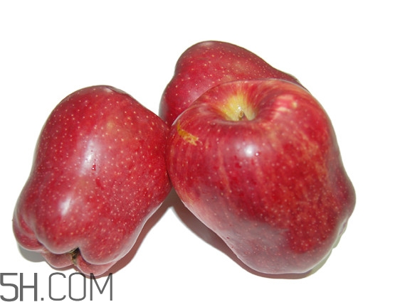 花牛蘋果是轉(zhuǎn)基因嗎？天水花牛蘋果幾月成熟