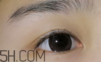 sakinre莎琪麗睫毛膏好用嗎？莎琪麗睫毛膏多少錢