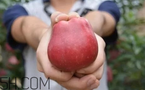 如何鑒別花牛蘋果？為什么叫花牛蘋果